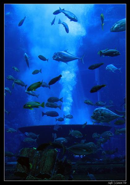 2012 - 06 - Dubai - 046